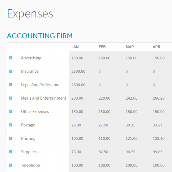 What is an accounting firm example?